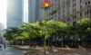 The Annoucement: Glanzrock Curatorial Services & YMWREA hosts a Downtown Lobby / Artwalk